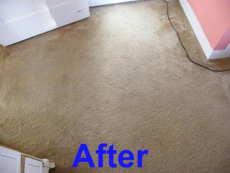 Best Way To Clean Carpet Cleaner Carpet And Upholstery Com